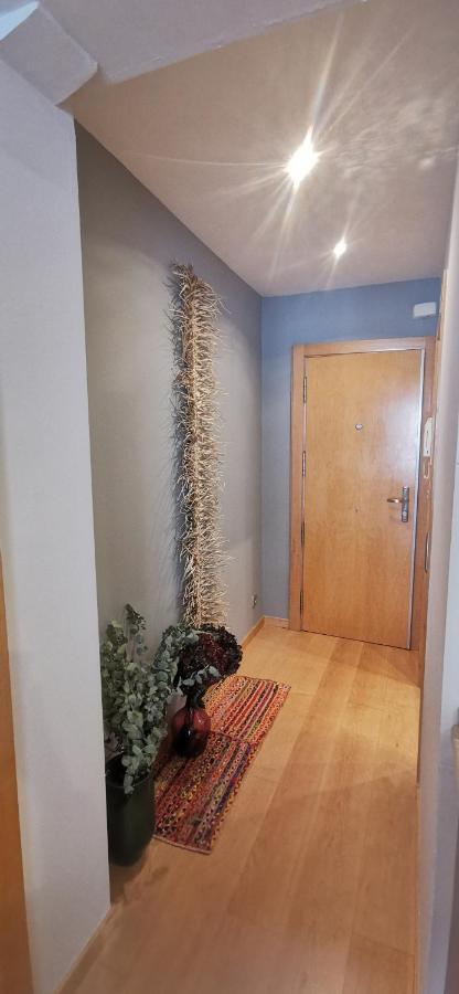Centrico Apartamento Elai, Netflix, Coffee, Posibilidad Parking Lejlighed San Sebastián Eksteriør billede